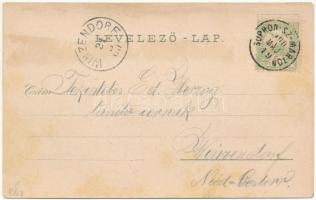 1900 Lánzsér, Lándzsér, Landsee (Sopronszentmárton); Plébánia, templom, iskola, várrom / Pfarrhof, K...