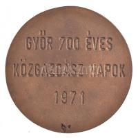 Renner Kálmán (1927-1994) 1971 "Győr Város Emlékérem" öntött bronz emlékérem, hátoldalon g...