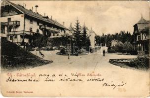 1900 Újtátrafüred, Neu-Schmecks, Novy Smokovec ( Magas-Tátra, Vysoké Tatry); (kis szakadás / small tear)