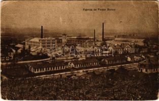 1931 Buhusi, Fabrica de Postav / textile factory (EB)