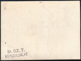 Sztálin az íróasztalánál, M.SZ.T. Képszolgálat fotó, 8×12 cm