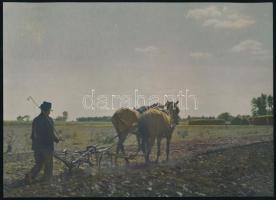 cca 1940 Két lóval szántó paraszt, színezett fotó, 16×23 cm
