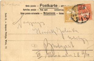 1909 Art Nouveau litho lady. Philipp & Kramer Wiener Künstler-Postkarte Serie II/7. s: Koloman M...