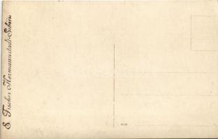 Nagyszeben, Hermannstadt, Sibiu; Iskolai felvonulás és bemutató a szülők előtt / school parade. E. F...