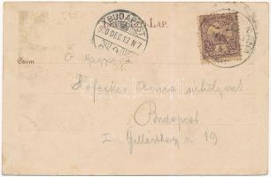 1900 Párkány, Stúrovo; utca, lovashintó, pálinka raktár, üzletek / shops