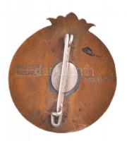 DN "Szilágyi Erzsébet Leánygimnázium Budapest" zománcozott bronz jelvény, "WALTHER E ...