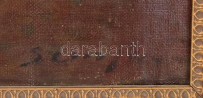 Olvashatatlan (Szenes?) jelzéssel, feltehetően a XX. sz. első felében működött magyar festő alkotása...