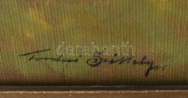 Tordai Székely Mihály (1890-1940): Virágos park. Olaj, vászon, jelzett. Dekoratív, sérült fa keretbe...