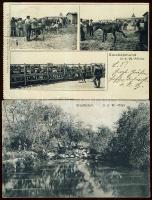 5 db Afrika / 5 pcs Africa