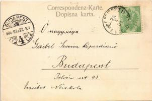 1904 Bileca, Bilek; Jubileumscisterne (Jubiläumsbrunnen) Franz Josef I / street view, memorial fount...