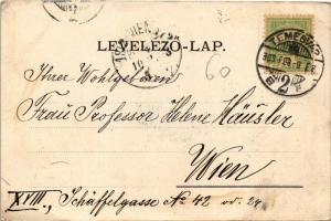 1903 Temesvár, Timisoara; Kossuth utca. Moravetz Gyula kiadása / Kossuth-Gasse / street view (ázott ...