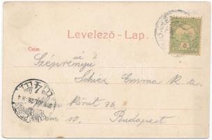 1905 Budakeszi, Uszoda, fürdőzők. Stern Jakab kiadása (EK)