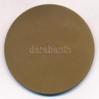 Búza Barna (1920-2010) 1961. "XIX. Kerületi Ady Endre Úti Iskola 1911-1961" Br emlékérem (...