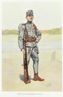 A magyar királyi honvédség története. 1868-1918. Írta: Suhay Imre tábornok vezetése alatt a M. Kir. ...
