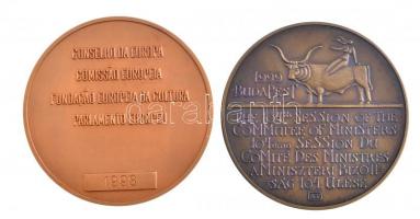 Asszonyi Tamás (1942-) 1999. "Európa Tanács 50 (1949-1999) / A miniszteri Bizottság 104. ülése&...