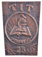 1970. TIT (Tudományos Ismeretterjesztő Társulat) 1841 - 25 egyoldalas, öntött bronz plakett (90x127mm) T:2