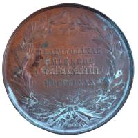 Mayer Elek (1840-1919) / Anton Fabris 1880. "Széchenyi István halálának 20. évfordulójára"...