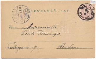 1897 (Vorläufer!) Lublófüred, Lubló-fürdő, Kúpele Lubovna (Ólubló, Stará Lubovna); Lubló vára, Hygie...