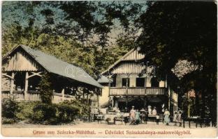 1916 Szászkabánya, Németszászka, Sasca Montana; Mühlthal / Malomvölgy, Vendéglő / Cheile Susarei, hotel and restaurant