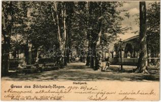 1904 Szászrégen, Reghin; Stadtpark / Városliget / park