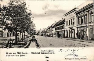 1905 Szászsebes, Mühlbach, Sebesul Sasesc, Sebes; Siculorumgasse, Apotheke / street, pharmacy, shop / utca, gyógyszertár, Baumann üzlete (EK)