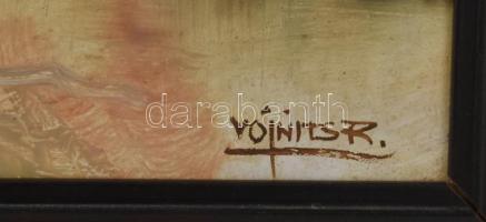 Voinits Richárd (1942 -): Városrészlet. Olaj, farost. Fakeretben. 40x70cm