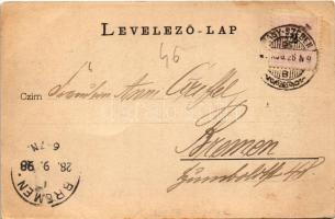 1898 (Vorläufer) Grüss aus den Siebenbürgischen Karpathen! Negoi-Schutzhütten, Kurhaus auf der Hohen...