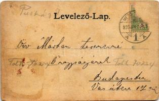 1905 Mezőtelegd, Tileagd; Sodronypála / wire rope station (apró lyuk / tiny pinhole)