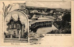 Vízakna, Salzburg, Ocna Sibiului; fürdő, Villa Louise. Karl Graef / spa, villa. Art Nouveau, floral (tűnyomok / pin marks)