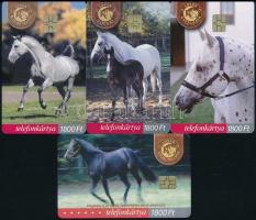 2002-2003 MATÁV lovas telefonkártyák, 4 db klf, benne 2000 példányos ritkaság is, jó állapotban