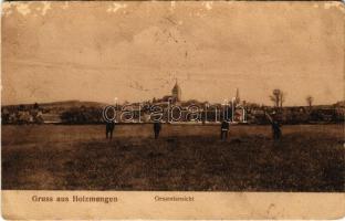 1916 Holcmány, Holzmengen, Hosman; Gesamtansicht (felszíni sérülés / surface damage)