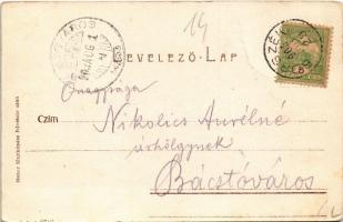 1905 Borszék, Borsec; részlet a szerpentin útból. Heiter fényképész felvétele után / road (EB)