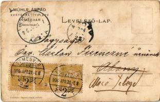 1906 Temesvár, Timisoara; Mühle-féle kertészeti telep főbejárata. Mühle Árpád rózsakertész és tájépí...