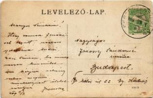 1909 Fertőszentmiklós, hintó. photo