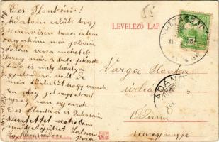 1914 Balatonlelle, Bozsán villa. Wollák József kiadása (EK)