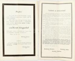 1898 Erzsébet királyné halálának alkalmából összehívott Pest vármegyei rendkívüli közgyűlés meghívója + hozzá a Szobrot a királynénak c. felhívás és gyűjtőív szép állapotban