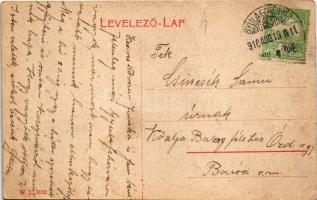 1910 Gyulafehérvár, Karlsburg, Alba Iulia; Hunyadi tér, piac, Fürst M. Dávid üzlete. W.L. 3162. / sq...