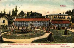 1908 Szliács, Sliac; Növényházak és Pest szálloda / hotel, greenhouses (EK)