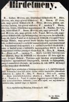 1857, 1860 Két halállal büntetett bűncselekmény hirdetménye, egyik körülvágott 26x36 cm