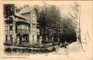 1904 Tusnád-fürdő, Baile Tusnad; Villa Elsa