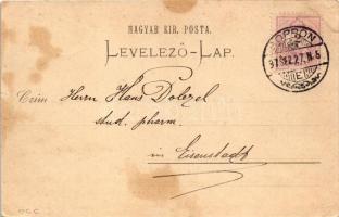 1897 (Vorläufer) Sopron, Erzsébet utca, Széchenyi tér, Városház, torony. Carl Schwarz floral (fl)