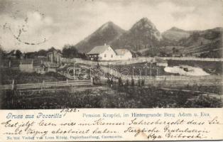 Pozoritta Pension Krapfel