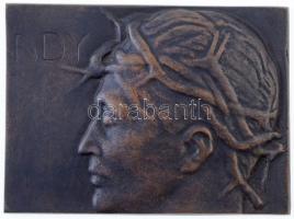 ~1919. Ady Endre töviskoszorúban, balra néző portré öntött Br plakett (100x73mm) T:2
