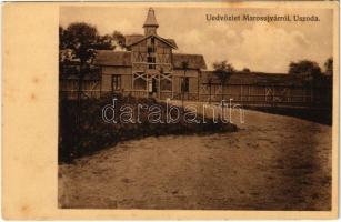 Marosújvár, Uioara, Ocna Mures; Uszoda. Füssy József kiadása / swimming pool (fl)