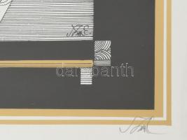 Szász Endre (1926-2003): Lány madárral. 2/300. Szitanyomat, papír, jelzett, üvegezett keretben, 40x5...