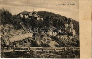 1910 Csucsa, Ciucea; Lázár villa. Ferencz és társa utóda Dunky Elek műterméből / villa (fl)