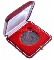 ~2000. "Magyar Honvédség Ludovika Zászlóalj / A Hazáért Mindhalálig" Br emlékérem eredeti ...