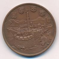 Képíró Zoltán (1944-1981) 1973. "Kaposvár Centenáriuma" Br emlékérem (42,5mm) T:1-,2 Adamo...