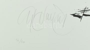 Gyémánt László (1935-): Női akt. Szitanyomat, papír, jelzett, számozott: 14/40. 49x65 cm