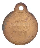 1934. "Kaposvár M. Város 1934 161" Cu kutyabárca T:2 patina